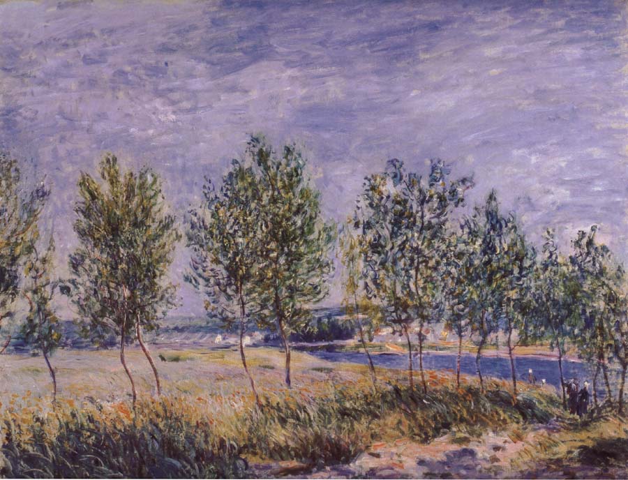 Poplars on a River Bank